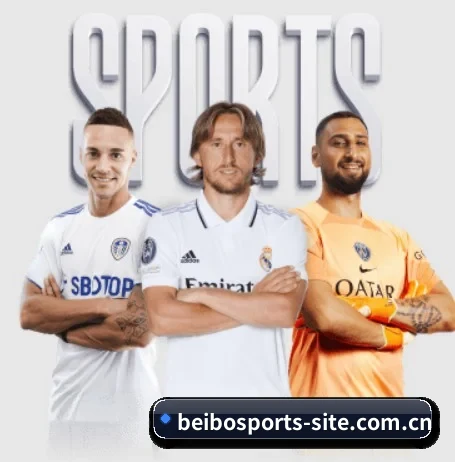 贝博体育围绕看球场景设计的核心服务(BeiboSports)